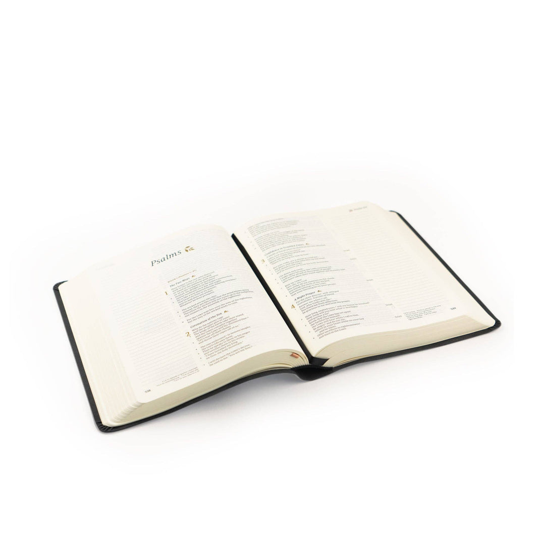 Hosanna Revival - CSB Notetaking Bible: Jerusalem Theme