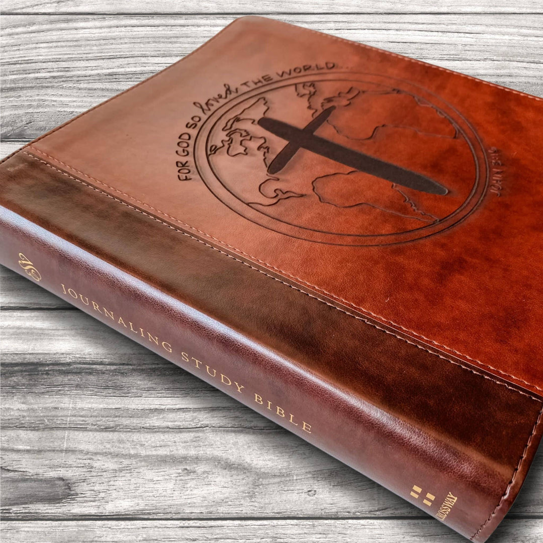 Joy Creative Bibles - ESV Journaling Study Bible - John 3:16