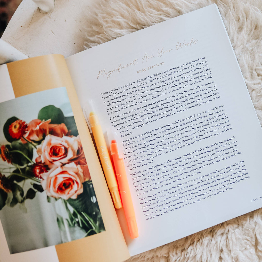 The Daily Grace Co - Praise Bible Study | Psalms 91-120