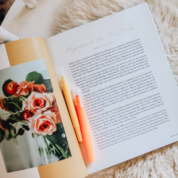 The Daily Grace Co - Praise Bible Study | Psalms 91-120