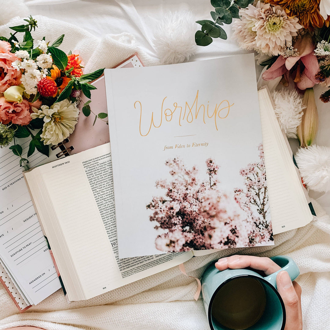The Daily Grace Co - Worship Bible Study