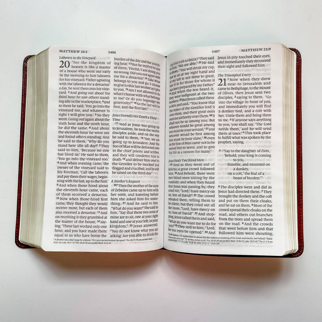 ESV Large Print Bible - The Holy Bible