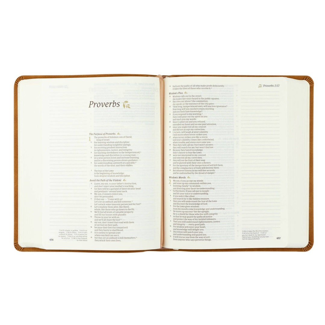 CSB Notetaking Bible: Amelia Theme